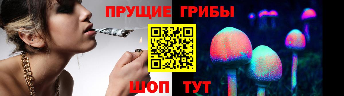Новозыбков  Галлюциногенные грибы Psilocybe  Вход с VPN 